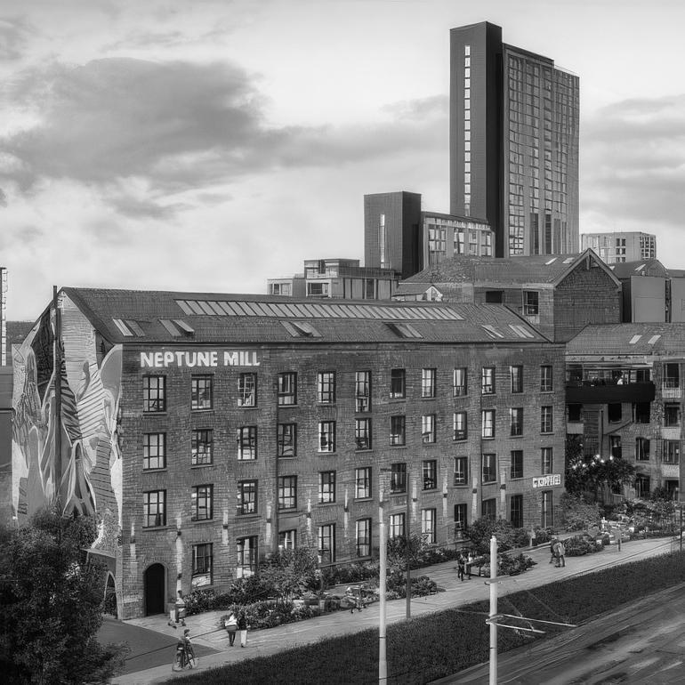 neptune mill